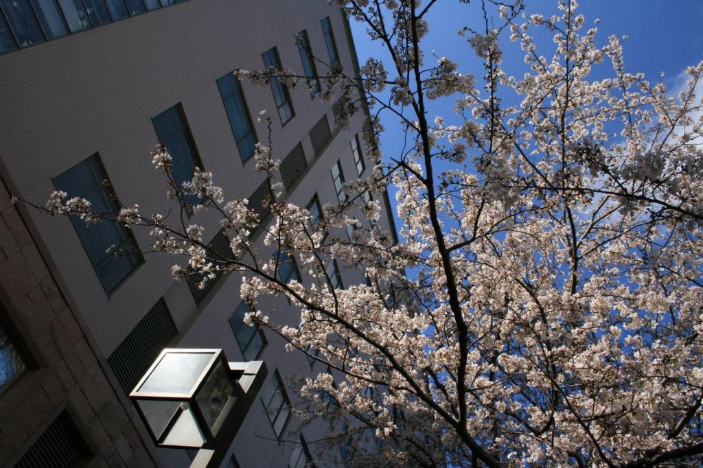 Photo of Chiba University campus