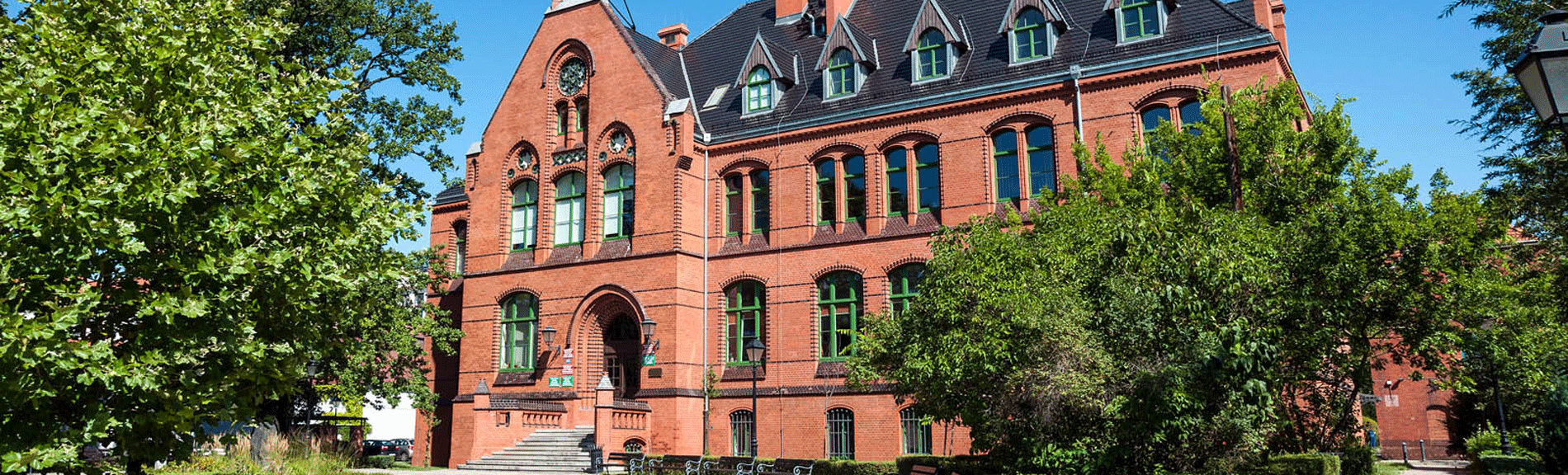 Building of the Evidence-Based Healthcare in Wroclaw Medical University