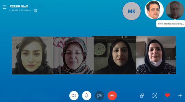 Online team meeting