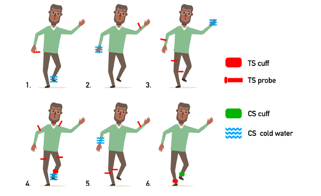 A diagram with examples of different methods of endogenous pain modulation