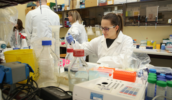 A group of medical researchers work in a laboratory.