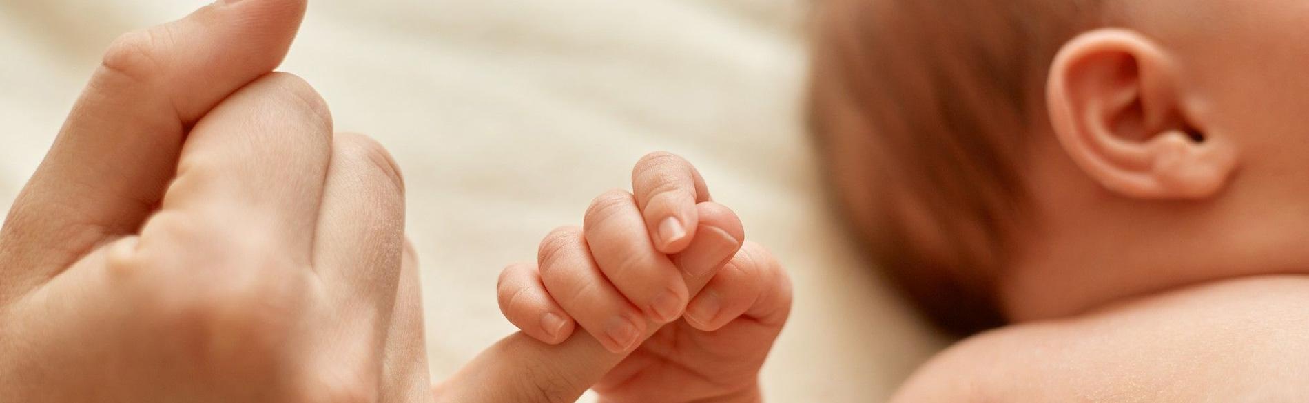 Baby holding the finger of an adult