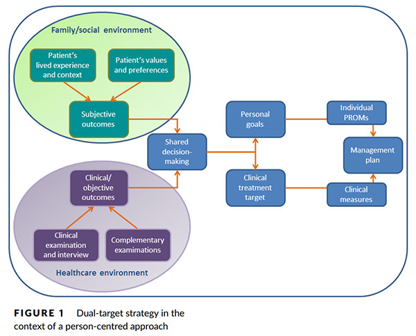 Figure 1. Dual-target strategy in the context of a person-centred approach.